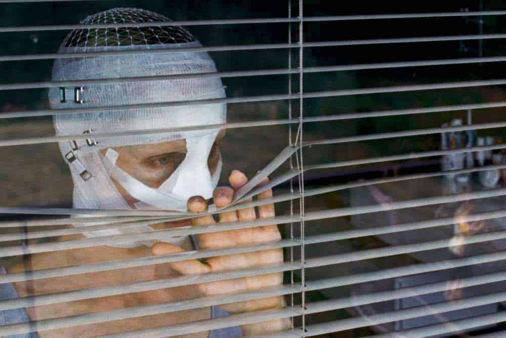 Goodnight Mommy, Fidelio: Alice's Journey, Second Mother, Very Semi-Serious