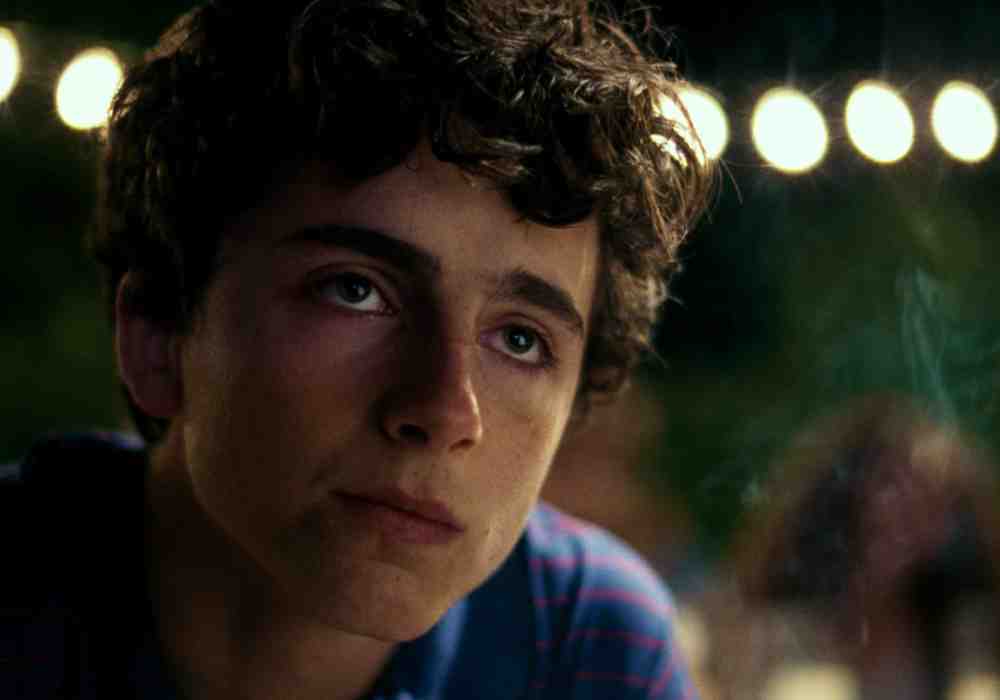 Timothée Chalamet, Call Me by Your Name, Luca Guadagnino