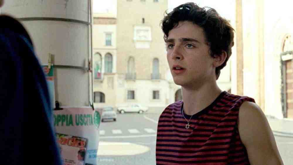 Timothée Chalamet, Call Me by Your Name, Luca Guadagnino