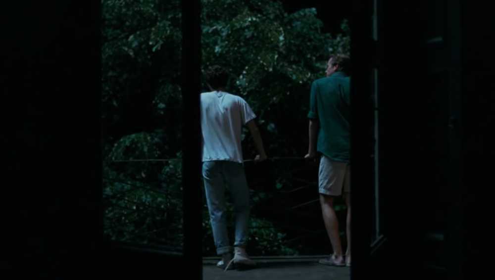 Call Me by Your Name, Timothée Chalamet, Armie Hammer, Luca Guadagnino
