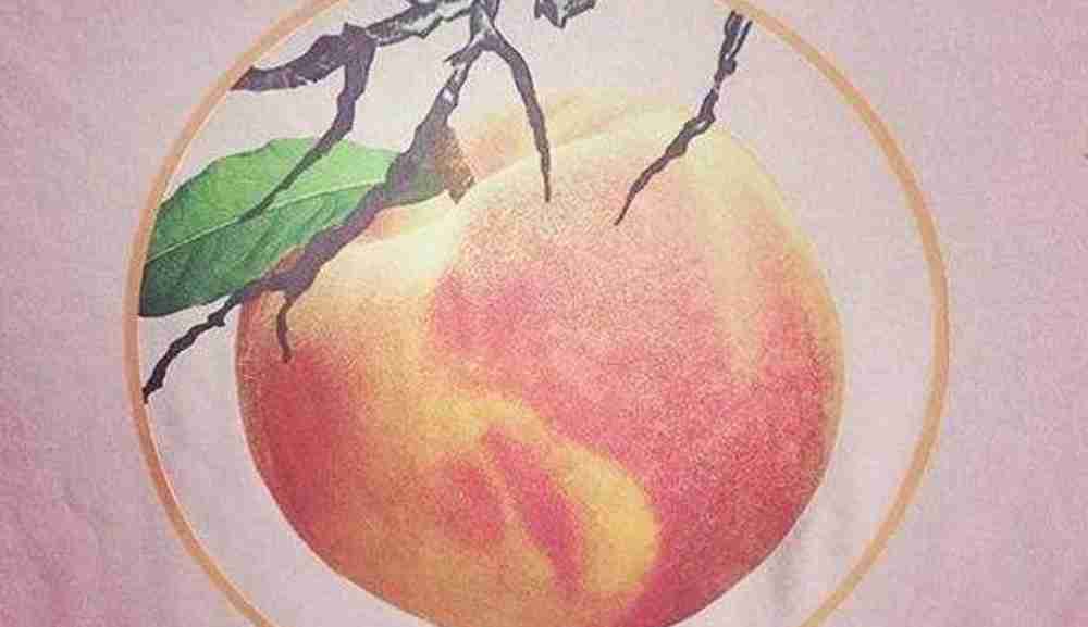 Call Me by Your Name, Peach, Luca Guadagnino