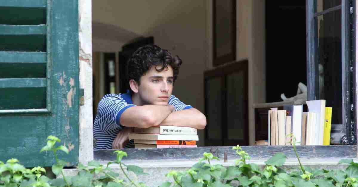Call Me by Your Name, Timothée Chalamet, Luca Guadagnino