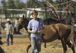 Andrew Haigh, Lean on Pete, Charlie Plummer