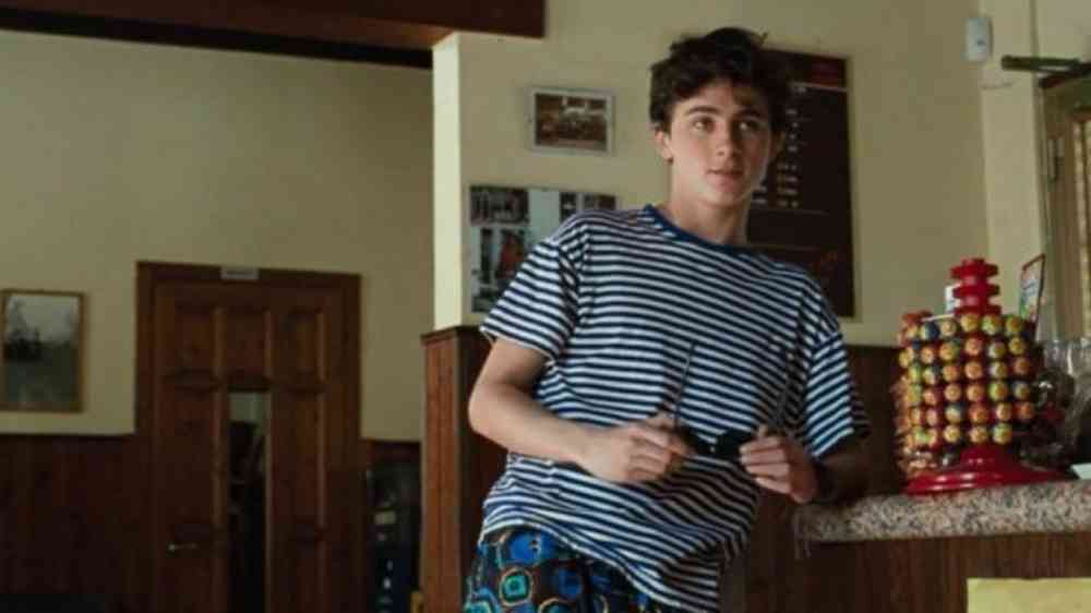 Timothée Chalamet, Call Me by Your Name