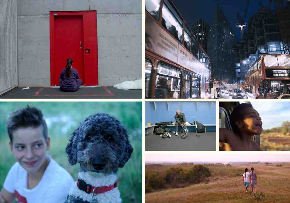 Our capsule reviews highlight six of the standouts at the 2019 Hot Docs Canadian International Documentary Festival: Conviction, Buddy, Willie, In My Blood It Runs, We Will Stand Up, and Push.