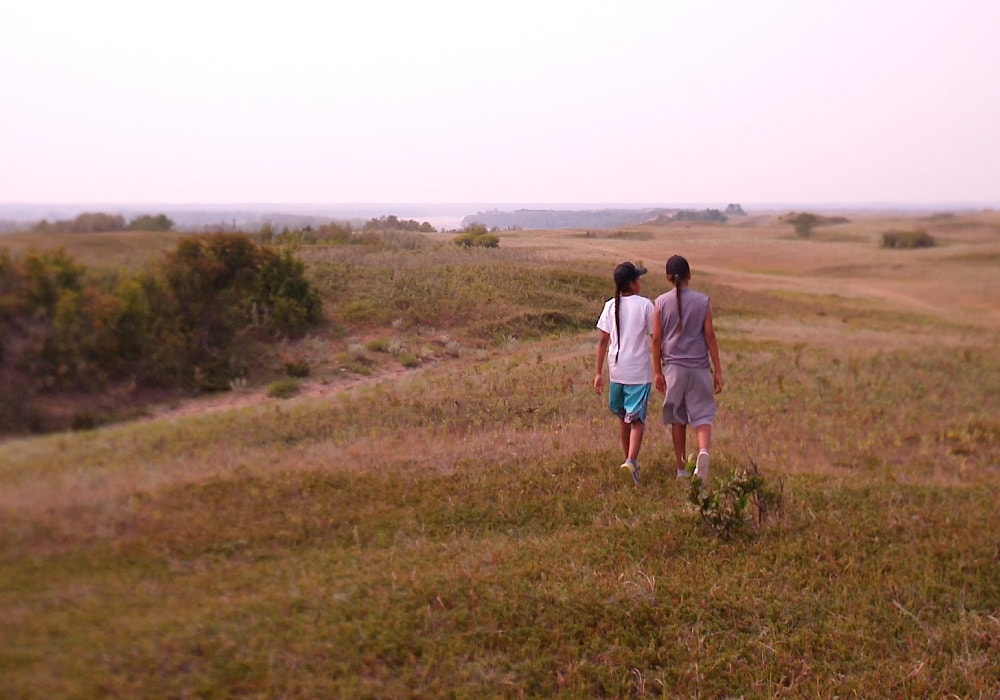 Director Tasha Hubbard's sons walk on the prairie in nipawistamâsowin: We Will Stand Up 

Our capsule reviews highlight six of the standouts at the 2019 Hot Docs Canadian International Documentary Festival: Conviction, Buddy, Willie, In My Blood It Runs, We Will Stand Up, and Push.