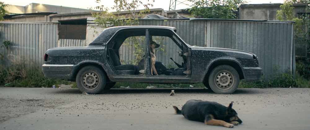 Still from Space Dogs directed by Elsa Kremser and Levin Peter
