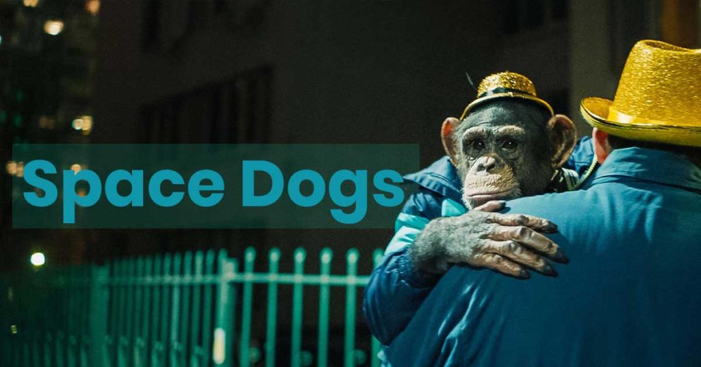 Still from Space Dogs directed by Elsa Kremser and Levin Peter