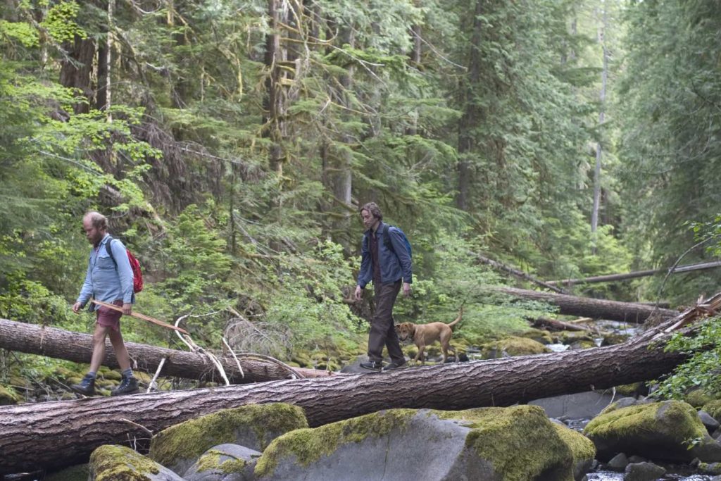 Kurt (Will Oldham, left) and Mark (Daniel London, right), walk across a log in the woods with dog Lucy in Kelly Reichardt's Old Joy. 