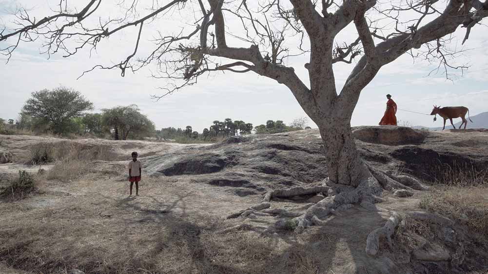 A boy stands in a vast, dry landscape in Pebbles, one of the best films of IFFR 2021.
