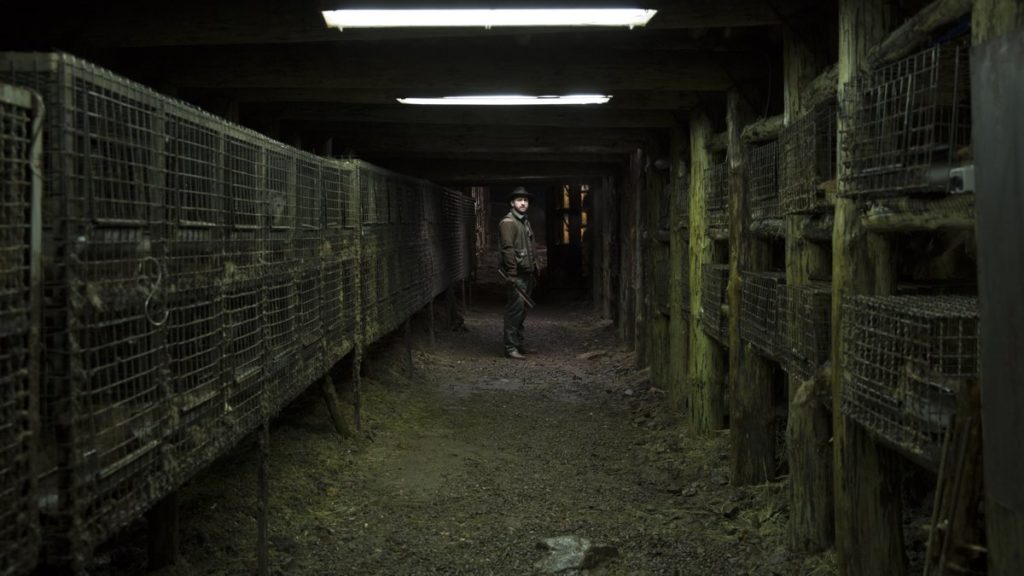 The fox farm, a room full of animal cages, in Agnieszka Holland's Spoor. Copyright Robert Palka Studio film.