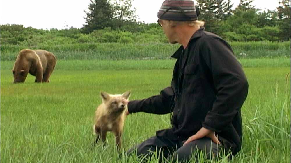 A still from Grizzly Man, one of the best documentaries of the 21st century.