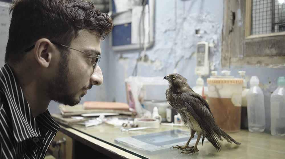 A still from All That Breathes, in which a man stares directly into the eyes of a small bird, which is perched on a desk in front of him.