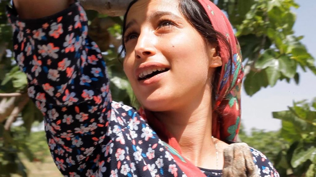 Fidé (Fide Fdhili) in Under the Fig Trees directed by Erige Sehiri. A woman in a patterned red head scarf and a flower patterned shirt looks up at the fig trees.