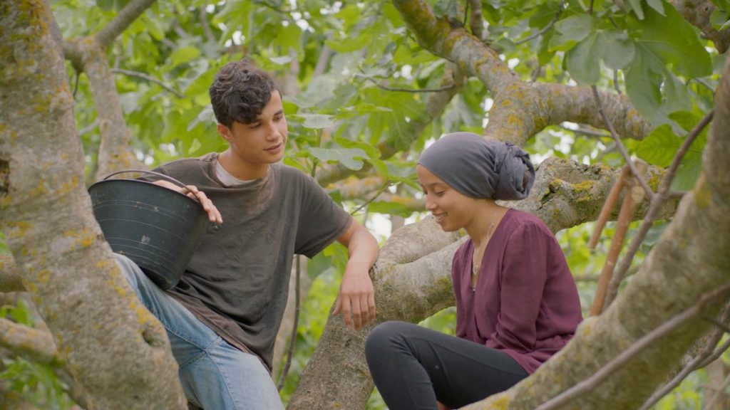 Two teenage exes still sweet on each other sit on a fig tree and reconnect after losing touch for five years in Erige Sehiri's Under the Fig Trees. Photo courtesy of Henia Produtions and Maneki Films. The boy is holding a bucket and is wearing a brown t-shirt. He is gazing down lovingly at the girl, dressed in a purple blouse with a purple headscarf, who is shiny smiling while looking down and away from him.