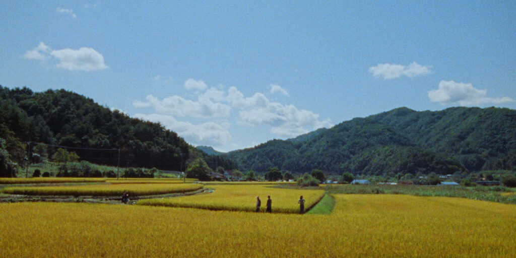 A still from the trip to Korea in vivid colour from the film Riceboy Sleeps. Courtesy of TIFF. Riceboy Sleeps is discussed in the context of fellow films at TIFF about Canadian immigration stories Coyote and So Much Tenderness.