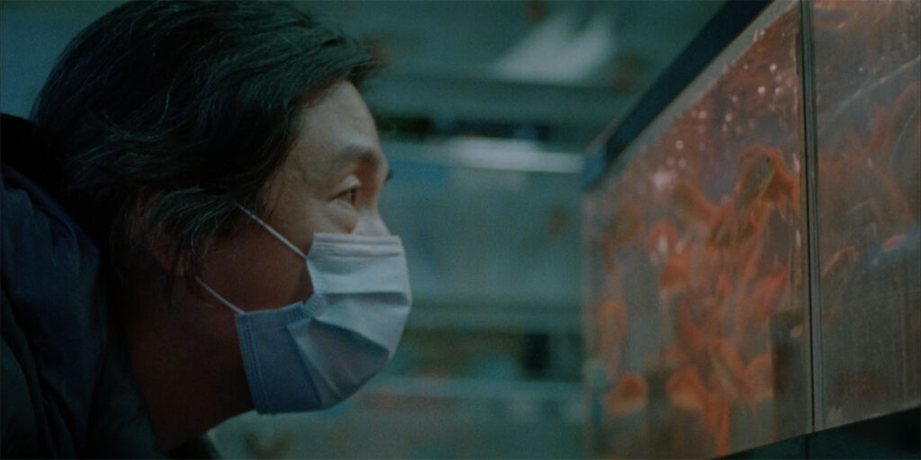 Still from Lloyd Lee Choi's Same Old, one of the best and must-see shorts at TIFF 2022. A middle-aged Chinese man in profile, wearing a blue surgical mask, looks at his aquarium full of orange fish.