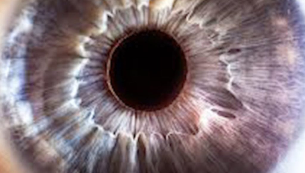 Still from Angelo Madsen Minax's short film Bigger on the Inside, which was one of the best films of TIFF 2022. Still of the iris of an eye.