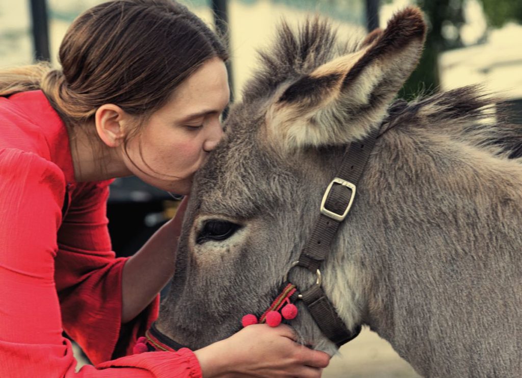 Still from Eo, one of the best films at TIFF 2022. A woman in a red blouse kisses and embraces a donkey.