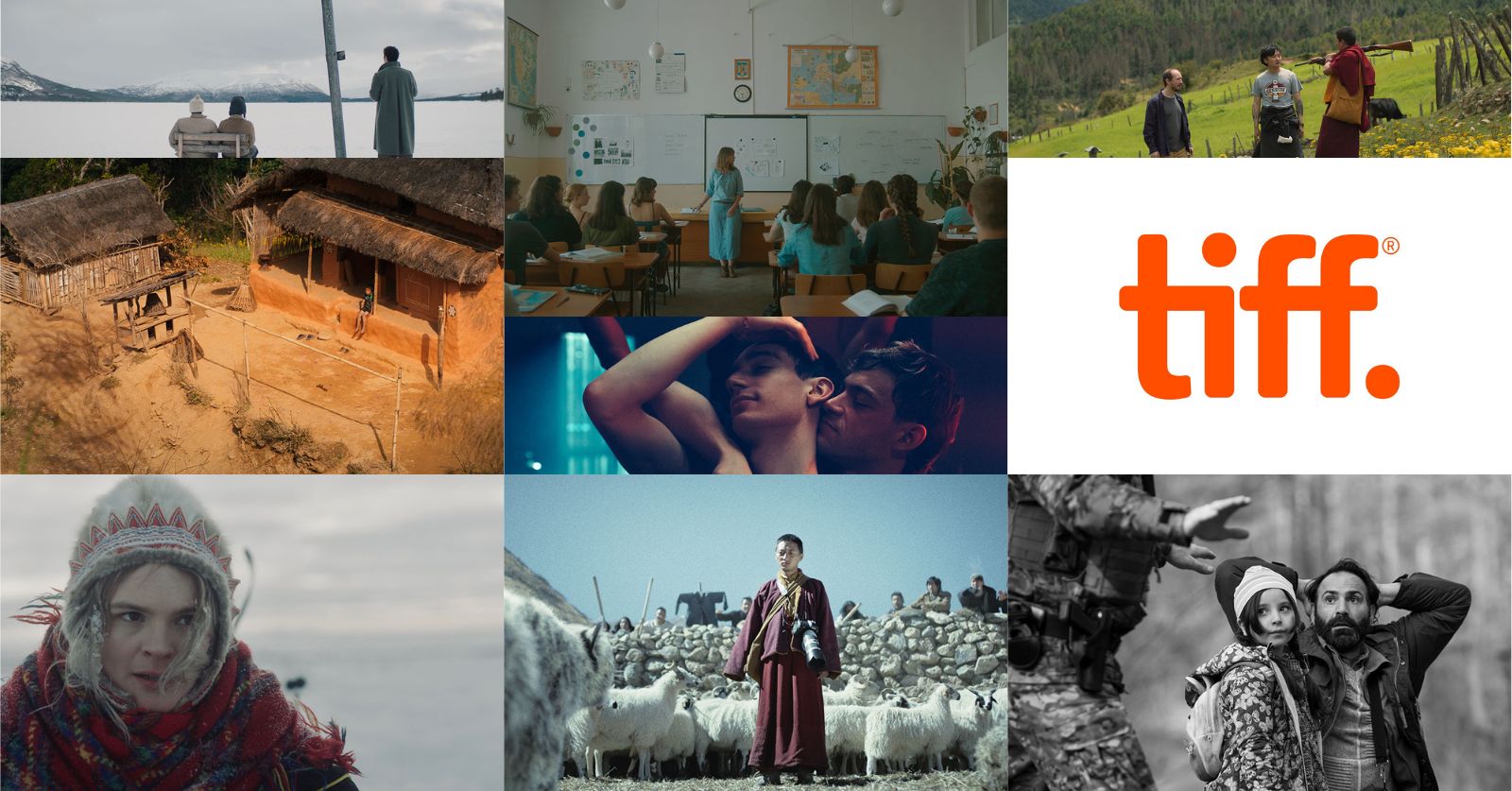The best acquisition titles at TIFF 2023. Clockwise from top left: stills from A Happy Day, Without Air, The Monk and the Gun, A Road to a Village, Solo, The Tundra Within Me, Snow Leopard, and Green Border. Courtesy of TIFF.